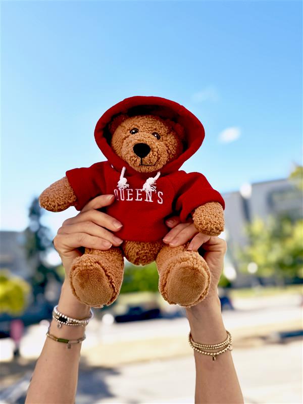 Queen's Teddy Bear